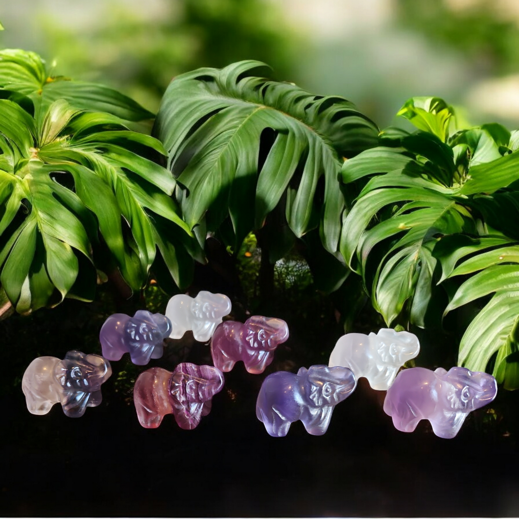 Éléphant en Fluorine multicolore