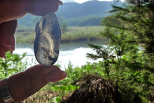 Charger l&#39;image dans la galerie, Lodolite ~ pierre des chamans

