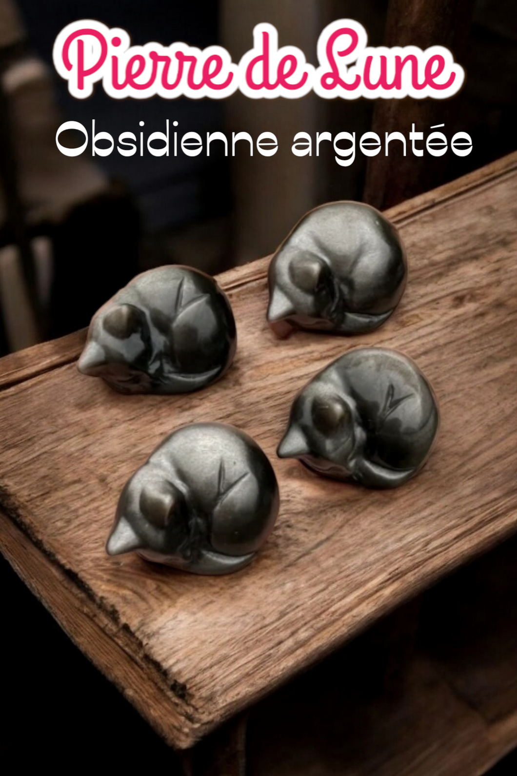 Chat en Obsidienne argentée