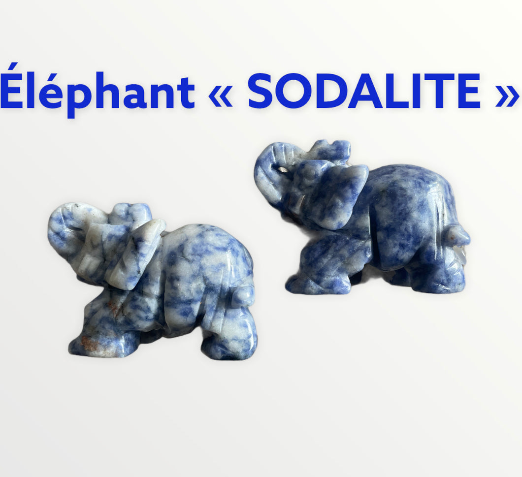 Éléphant « SODALITE »