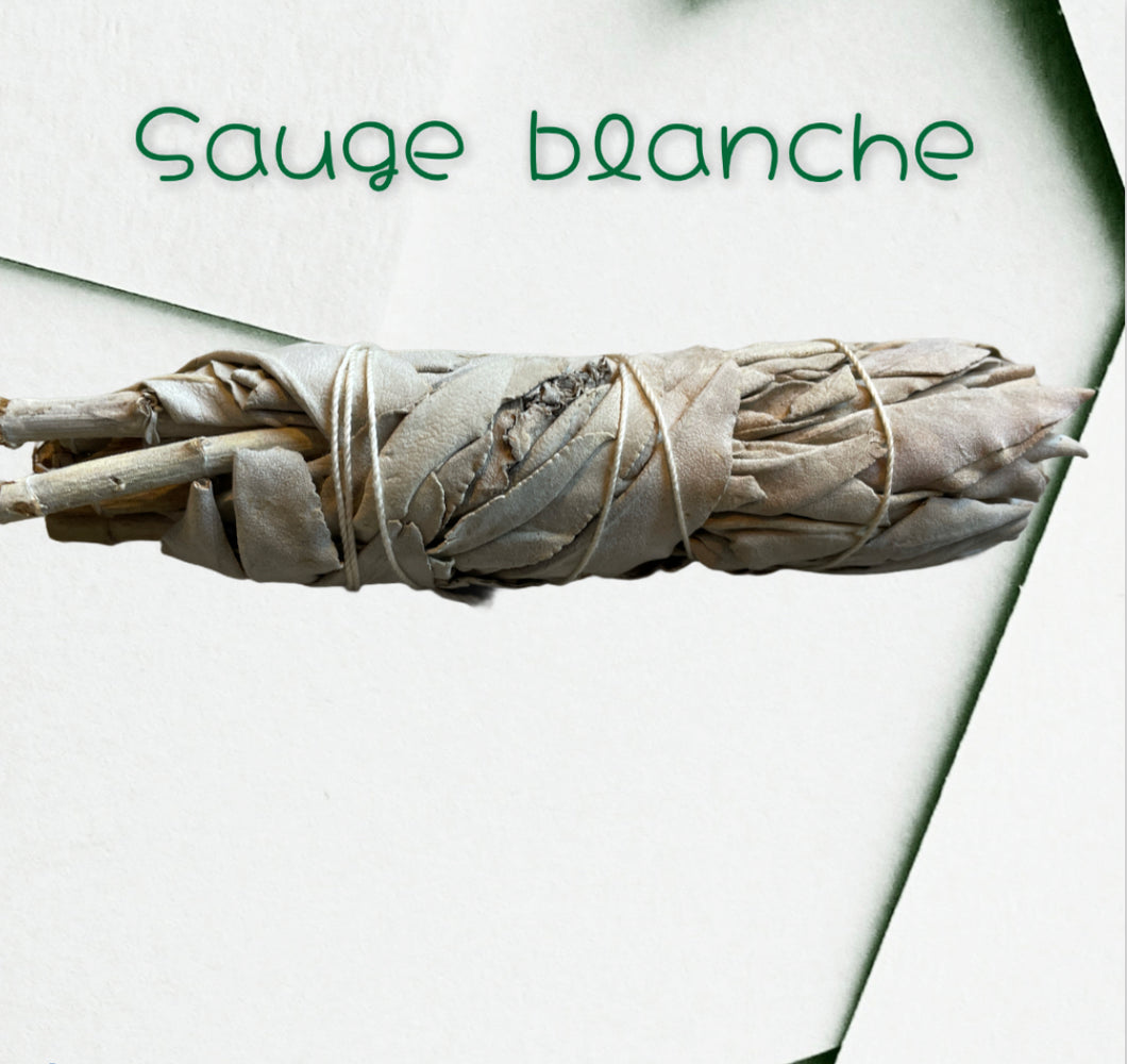 Sauge blanche pure