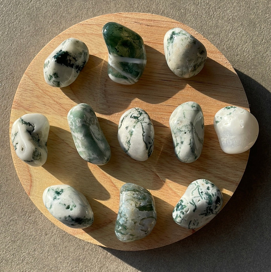 Pierre roulée AGATE ARBRE